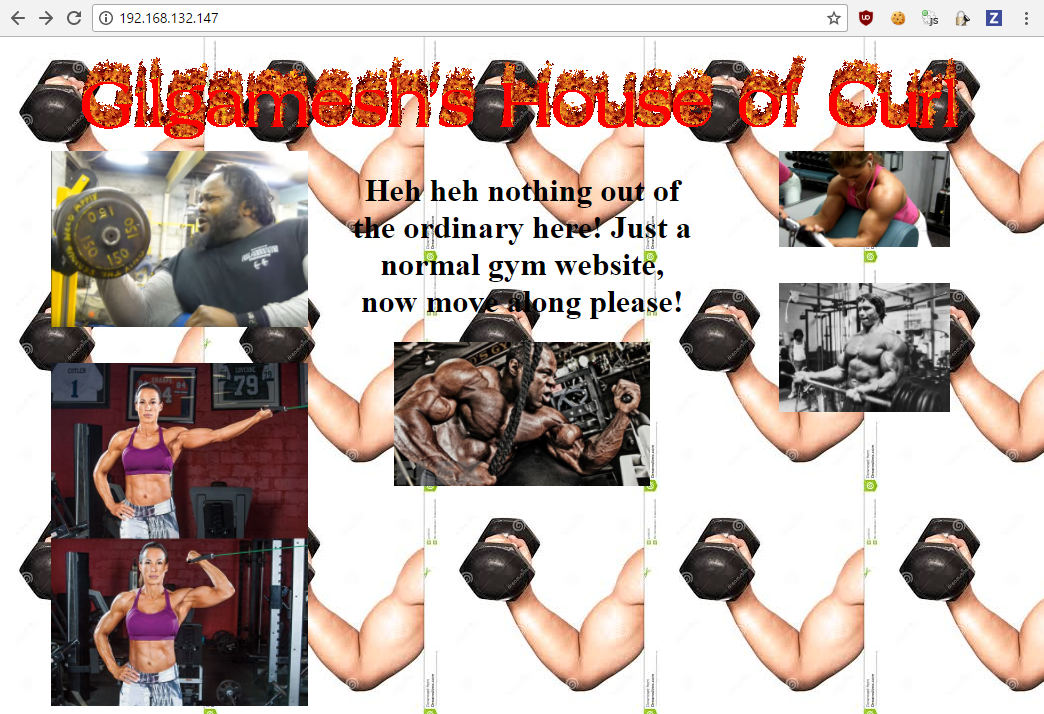 House of Curl