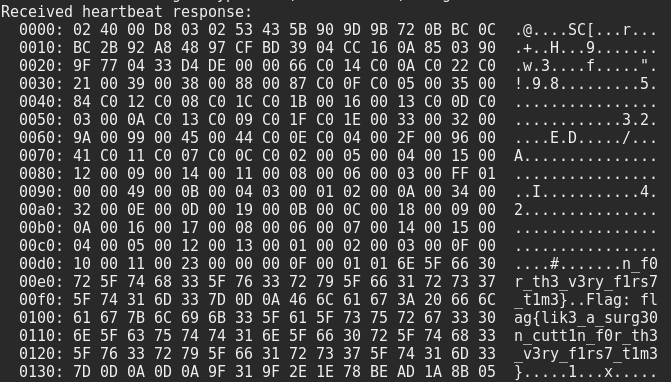 Flag in Heartbleed memory dump